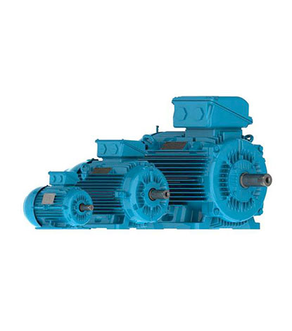 Low Voltage Induction Motors