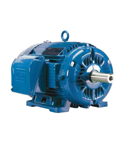 Low Voltage Induction Motors