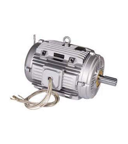 Low Voltage Induction Motors