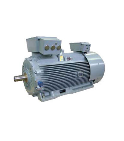 Low Voltage Induction Motors