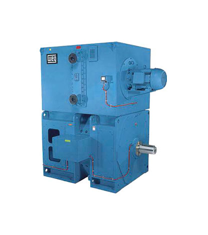 High Voltage Induction Motors